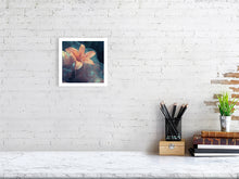 Charger l&#39;image dans la galerie, 9162390-3552120
